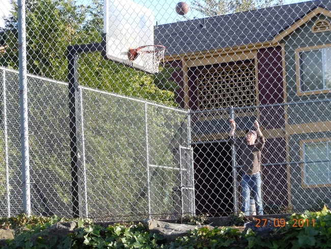 Terrace Heights