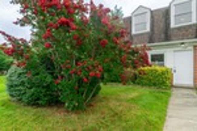 Building Photo - Three Bedroom house in Parkville