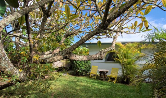 Gorgeous Garden to have your morning coffee - 291 Awakea Rd Apartments Unit A