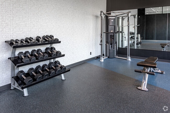 Gimnasio - Mezzo