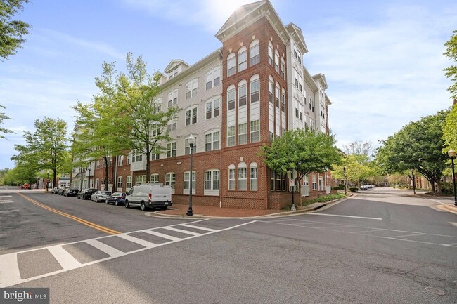 Photo - 171 Somervelle St Rental