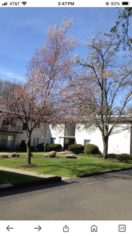 Photo - 944 S Lincoln St Condo Unit 944 S. Lincoln