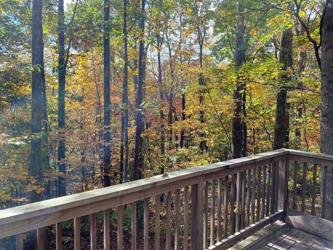 Photo - 143 Red Huckleberry Ln