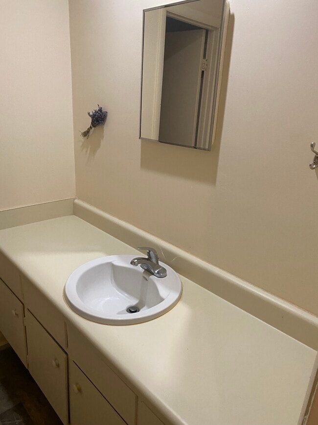 Sink in full bathroom - 3880 Staffordshire Ln