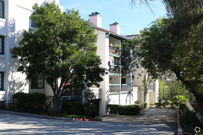 Photo - Shasta Greens