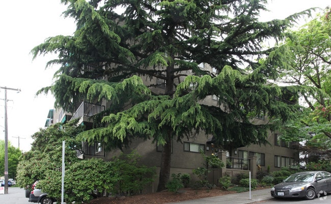 Bella Vista Apartments