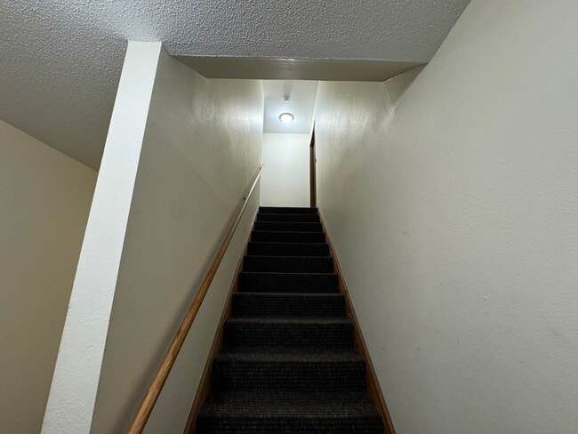 Photo - 2318 Meadow Ln Unit #3