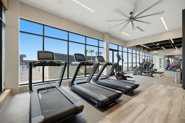 RISE Doro Jacksonville Apartments - RISE Doro