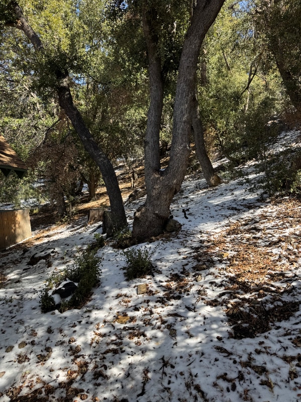 Photo - 1920 Matterhorn Dr