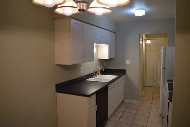 Kitchen pic1 - 24503 Olde Orchard St Unidad 9