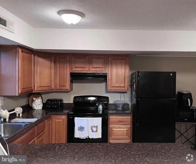 Building Photo - 284 Cardigan Terrace Rental