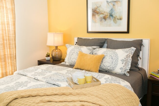 Photo - The Groves at Piney Orchard