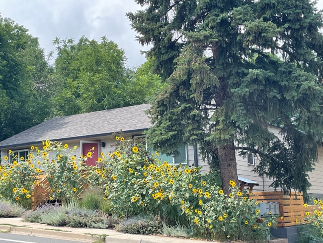 Photo - 2531 9th St Unidad B