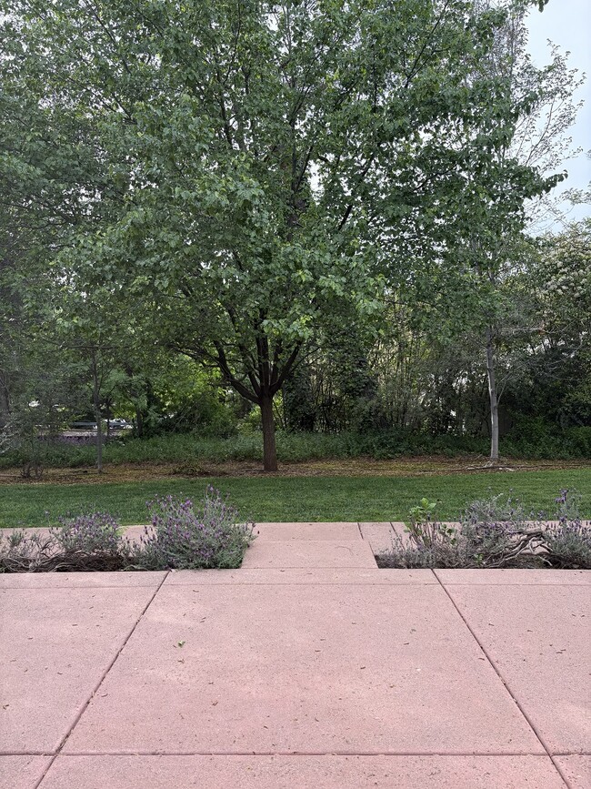 Patio privado con acceso al patio trasero común. - 80 College Way Unidad 2