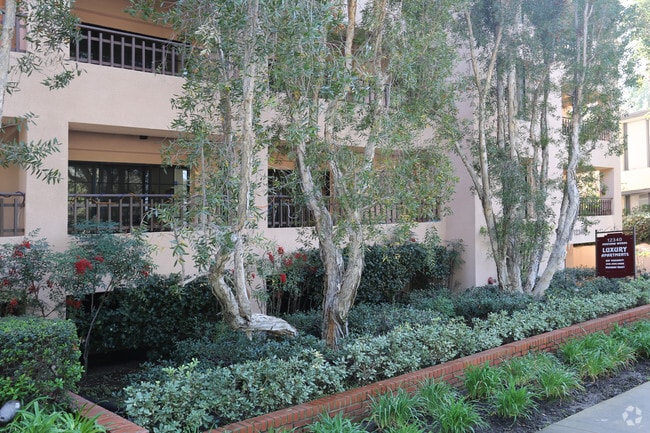 Montana Woods Apartments