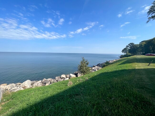 The Overlook