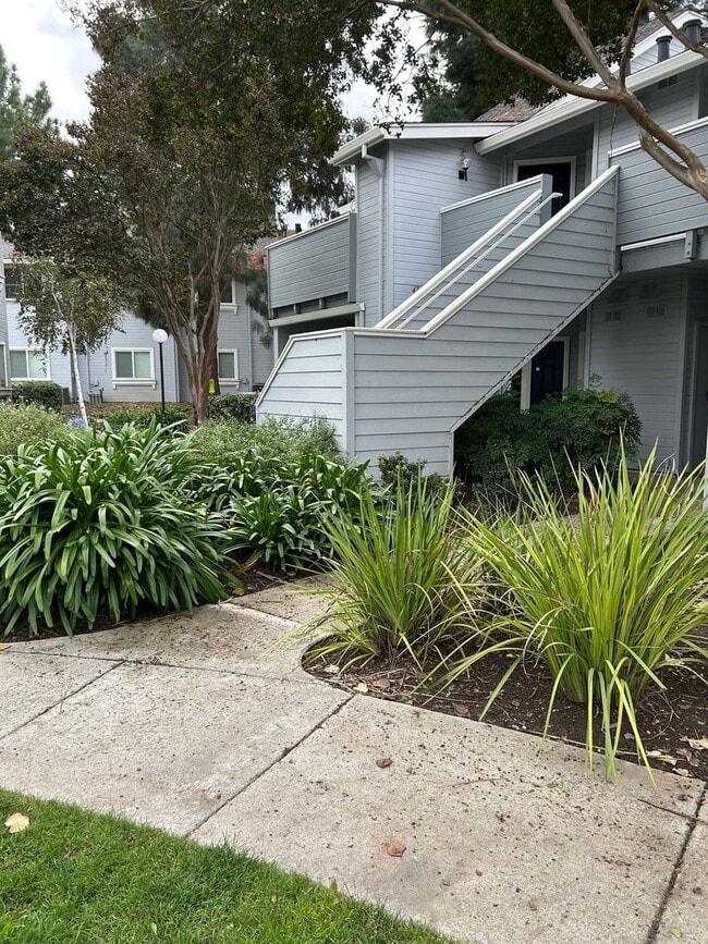 Building Photo - Spacious bright condo with new carpet and new paint and 2 bathrooms