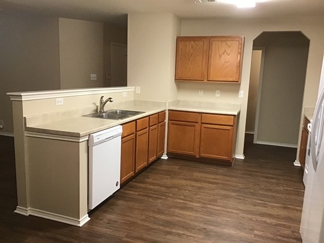 Photo - 12647 Sunny Wonder