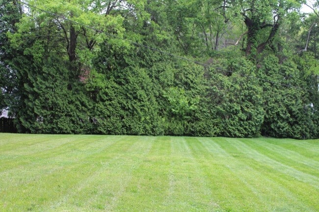 Photo - 102 Terrace Ct