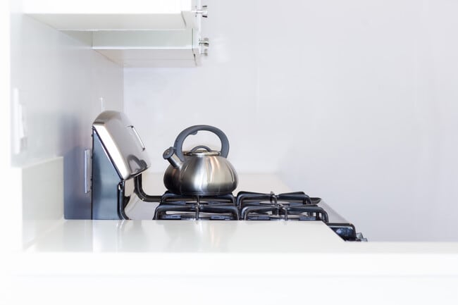 Stove - Ollie on Ogden