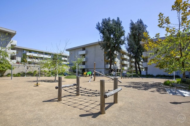 Play Area