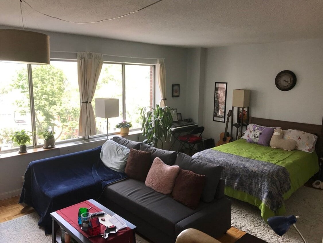 Bright and Spacious Brookline Studio - Bright and Spacious Brookline Studio