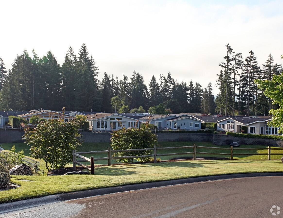 Photo - Water Gardens