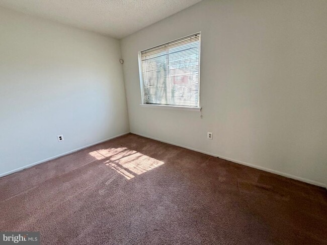 Photo - 21 Alexander Ct