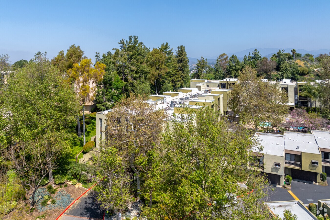 Edificio alternativo - Temple Terrace