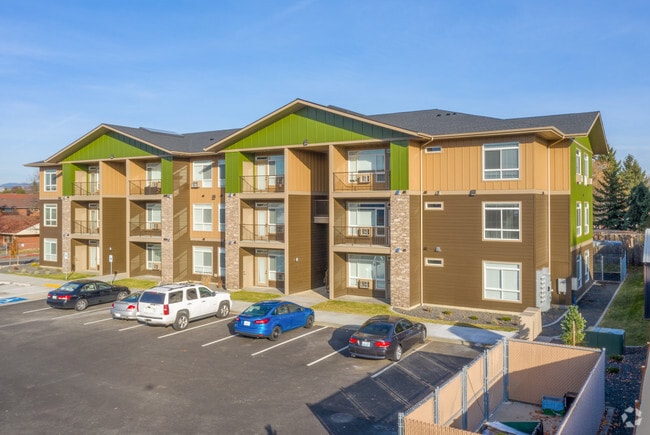 Olive Court Apartments - Olive Court Apartments