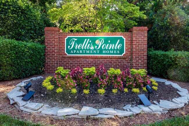 Trellis Pointe