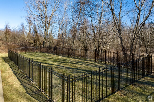 Dog Park