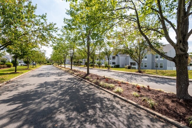 New Forest Apartments