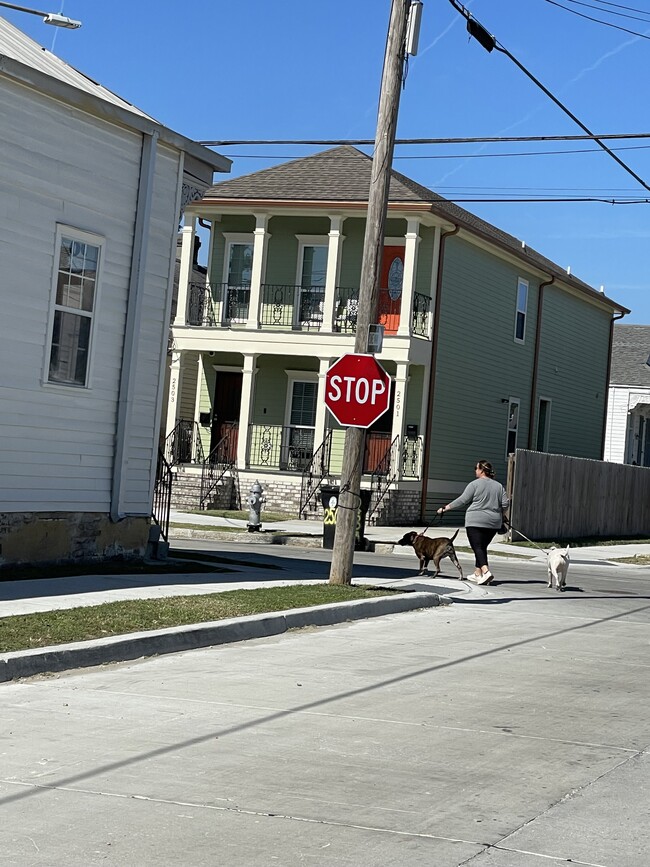 Freshly Paved Street - 2439 Second St Unit Don or Sharon