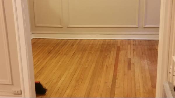 Photo - 1 bedroom in CHICAGO IL 60626 Unit 1P
