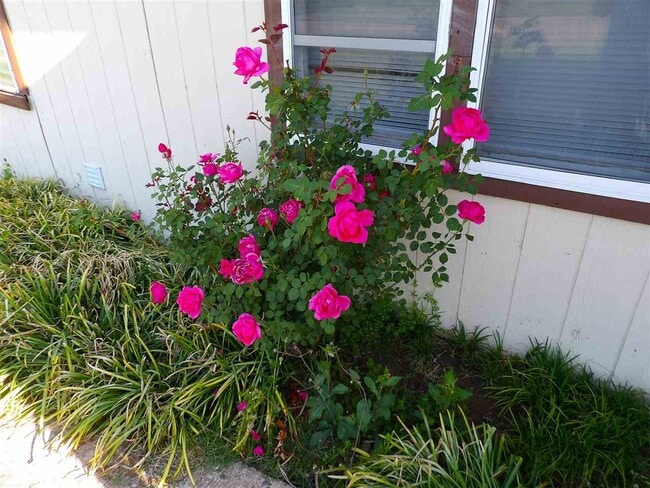 Photo - 2015 SW Jefferson Ave