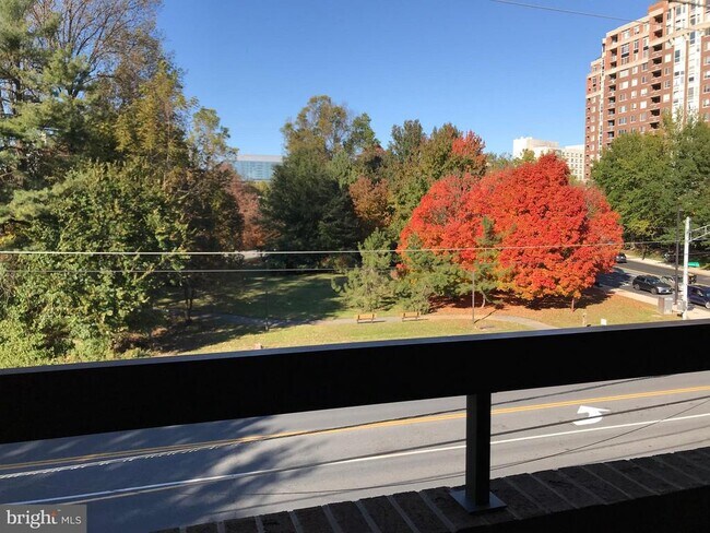 Photo - 11423 Commonwealth Dr Unit 302