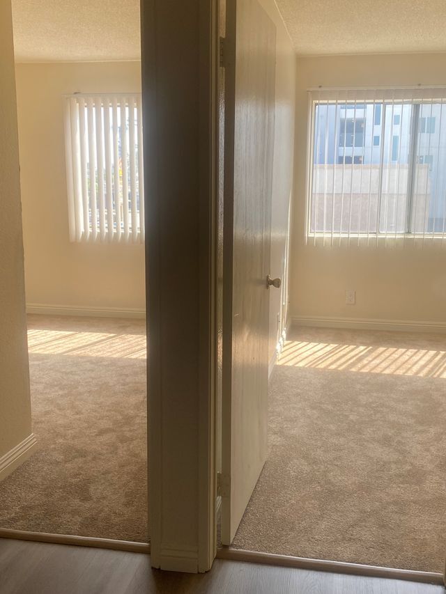 202