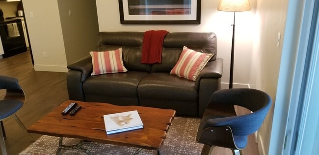 Recliner Sofa - 1043 S 500 E Unit G304