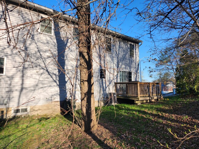 Salto - 1 Rosamond St