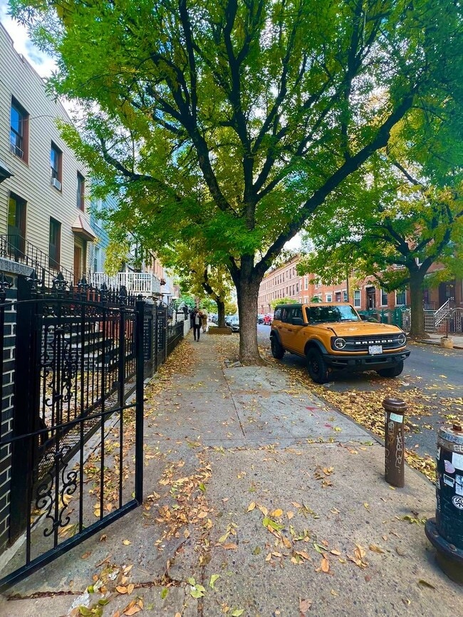 Photo - 203 Moffat St