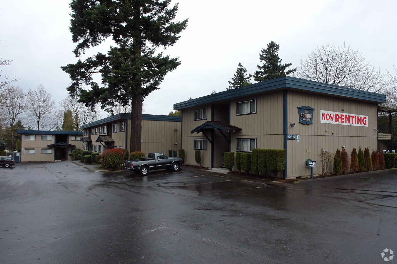 The Squire - The Squire