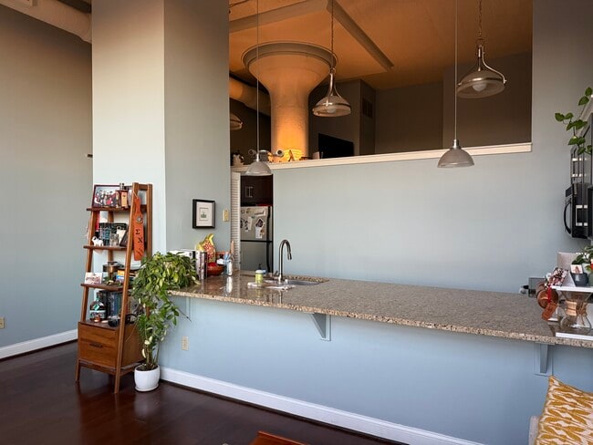 High ceilings - 2429 Locust St Unit 205