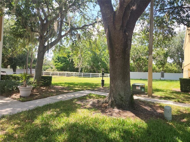 Photo - 1317 Throckmorton Dr