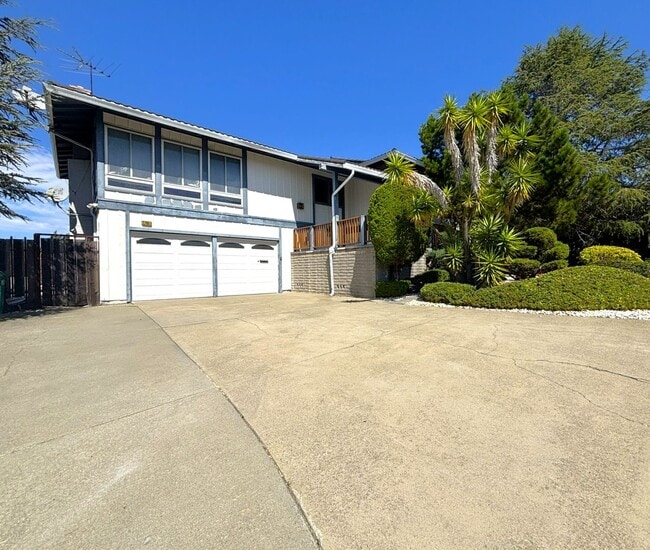 Building Photo - Hayward Hills Home is beautiful location, ...