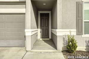 Photo - 702 Eucharis