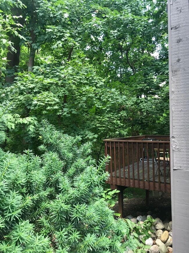 Photo - 106 Tulip Tree Ct Unidad 106