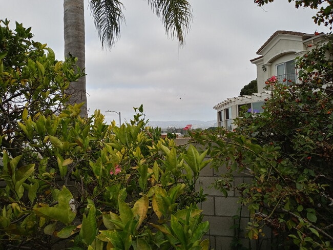12311 Marine St