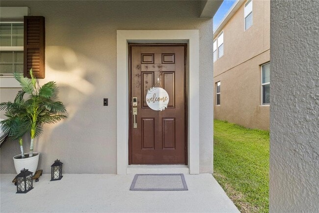 11049 Vignette Aly