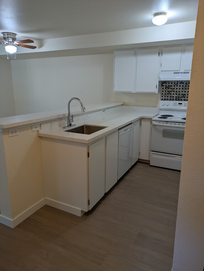 Photo - 29 Etruria St